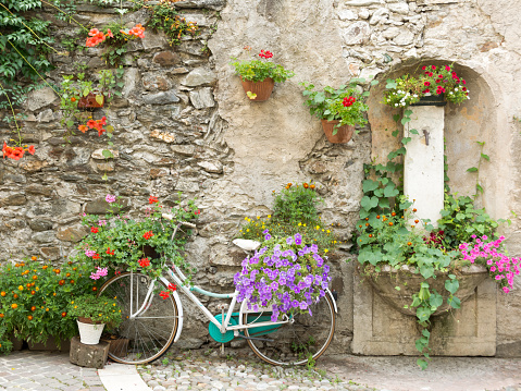 bicycle decorated with flowers in  Levico Terme, a village in Trentino-Alto Adige/Südtirol region , Italy