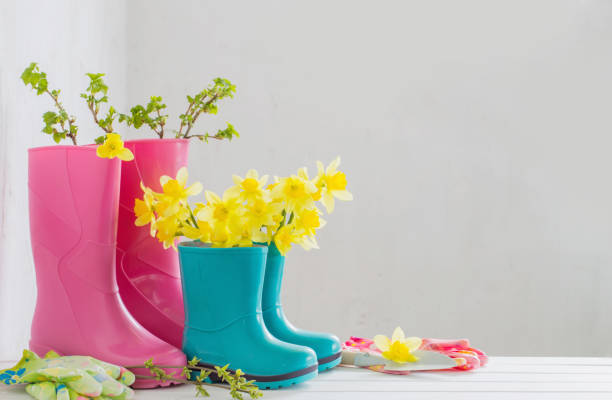 istock rubber boots and spring flowers on white background 951425166