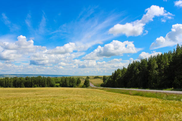 istock Landscape in the countryside 951425836