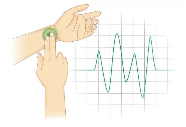 Vector illustration of Checking Your Heart Rate Manually with place two fingers at wrist.