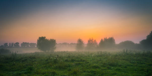 istock Faded nature in late summer and autumn 951430470