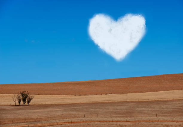 istock Agricultural ploughed field. Rural landscape 951432070
