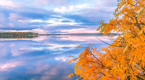 istock Autumn lake view from Sotkamo, Finland. 951436210