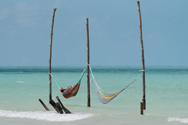 istock Two hammocks on the beach of Holbox, Mexico 951436882