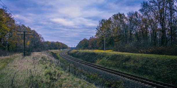 istock Faded nature in late summer and autumn 951439964