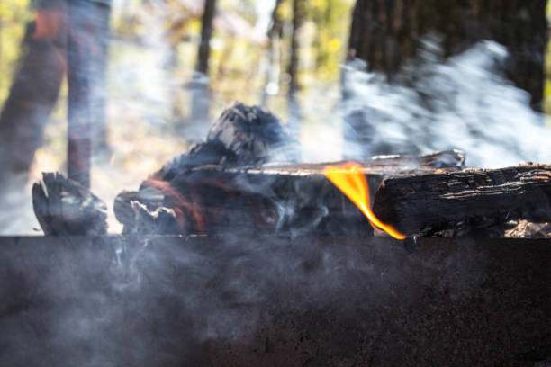 istock charcoal fire in the open air 951440290