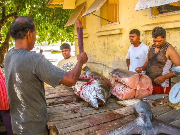 mauritius fish market - tuna steak tuna prepared ahi meat imagens e fotografias de stock