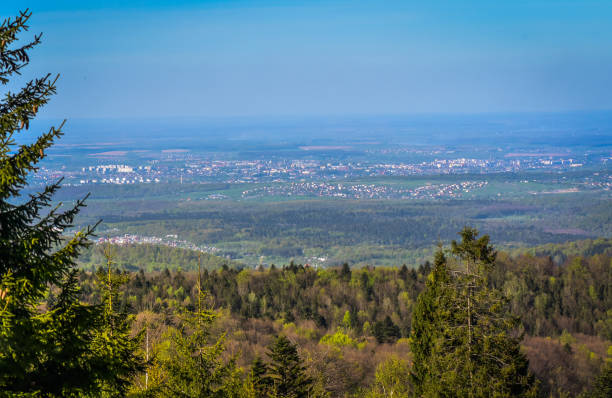 istock The land of Ukraine 951456678