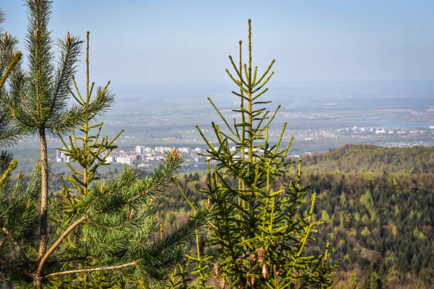 istock The land of Ukraine 951458544