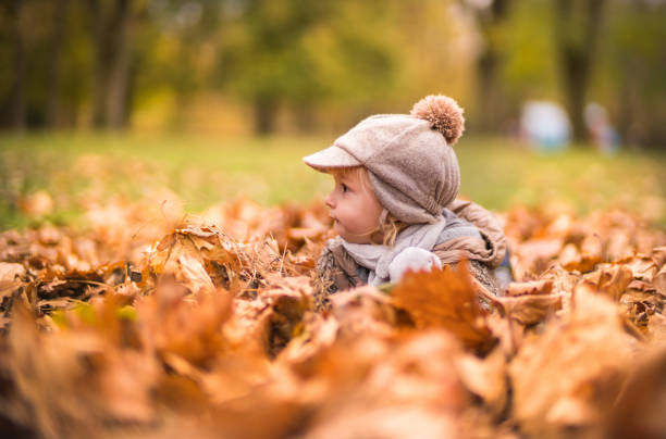 istock Small boy enjoying in autumn while lying among the leaves. 951462576