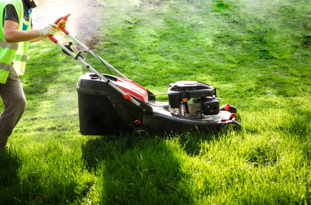 Professional gardener  in motion with lawnmower stock photo