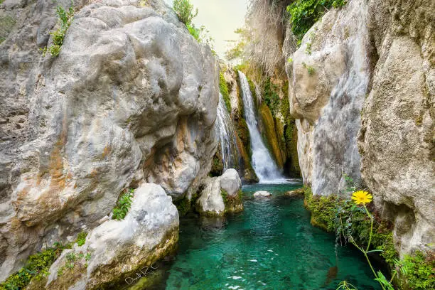 Photo of The Fountains of the Algar