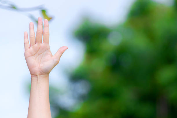istock Outdoor yoga practice 951466842