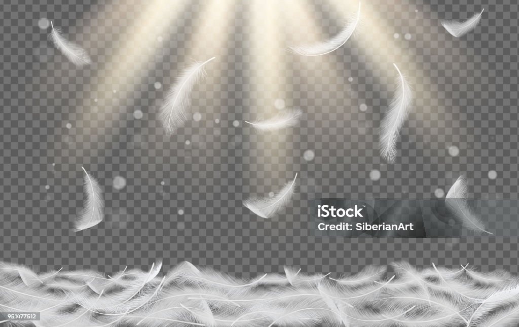 Falling white feathers vector realistic illustration Falling white feathers. Vector realistic illustration isolated on transparent background. Feather stock vector