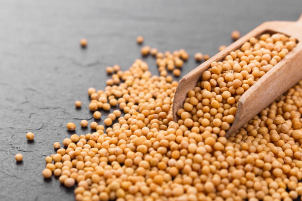 istock fresh grains of mustard on a rustic background 951480674