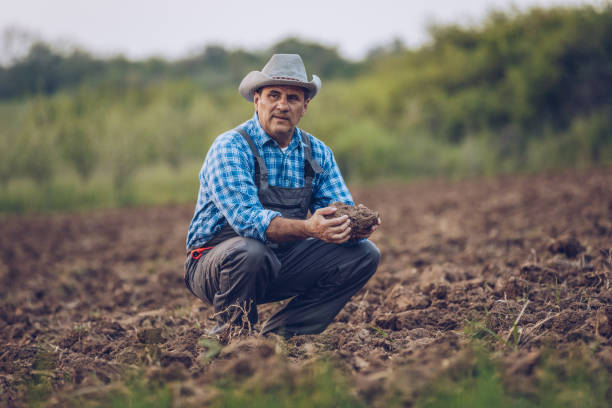 istock Mature farmer on his land 951483644