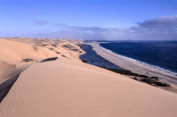 sándwich al puerto - erongo fotografías e imágenes de stock