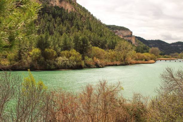 istock Tolosa reservoir surrounded by vegetation and mountains 951486072
