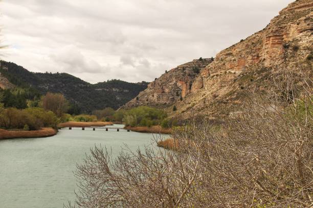 istock Tolosa reservoir surrounded by vegetation and mountains 951488714