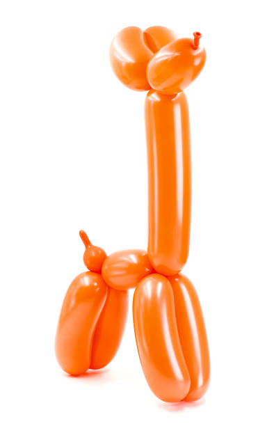 istock orange twisted balloon dog isolated on white background 951495438