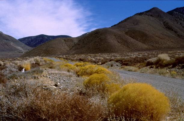 istock Hills landscape in Nevada 951495824