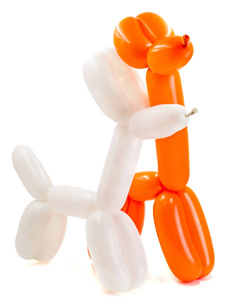 istock two twisted balloon dogs isolated on white background 951495910