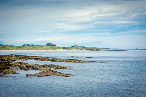 northumberland coast guardando a nord fino a bamburgh - castle bamburgh english culture old foto e immagini stock