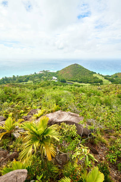 istock View on miller's point and anse georgette from chenard mountain, 951500666