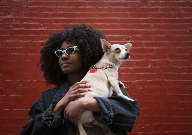 istock Sisters with their dog, New York 951505112