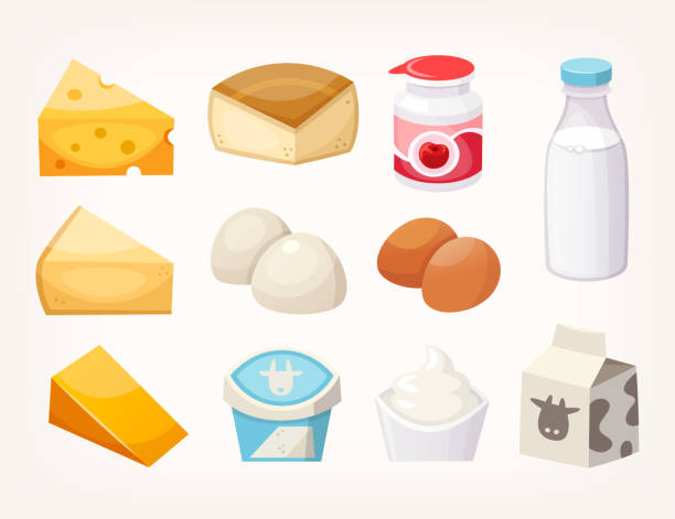 illustrations, cliparts, dessins animés et icônes de ensemble de produits laitiers aliments plus courants. certains types de fromages, des paquets de lait et des yaourts. - fromage