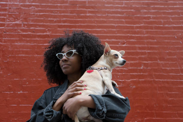 istock Sisters with their dog, New York 951510774