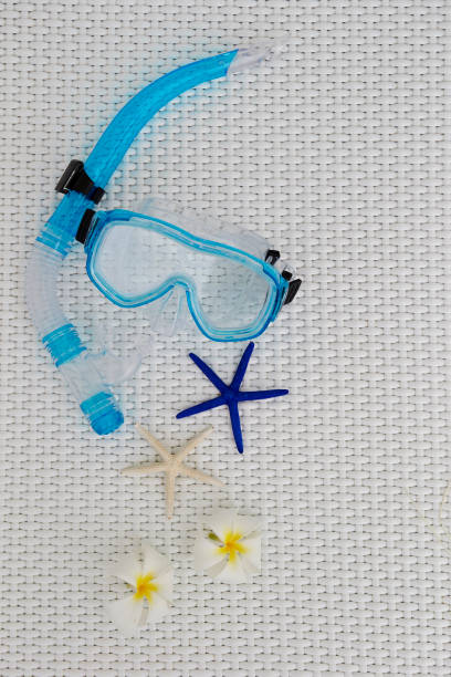 istock Starfish and snorkeling mask 951513216
