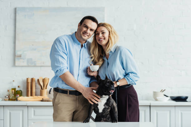 istock Smiling couple stroking their frenchie dog on kitchen table 951513982