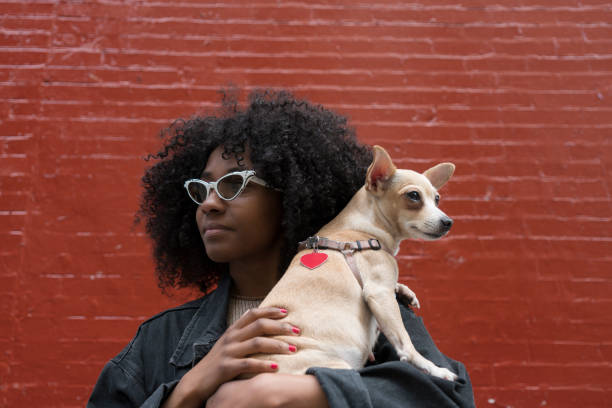 istock Sisters with their dog, New York 951519974