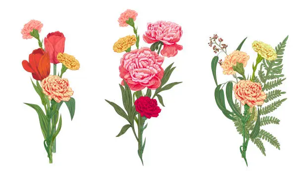 Vector illustration of Three bouquets red, pink, yellow flowers and greenery: carnation, peony, tulip, green leaves fern, eucalyptus on white background, hand draw, colorful engraving vintage sketch style, botanical vector