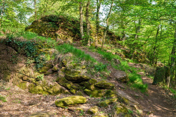 istock The Palatinate Forest in spring. Germany 951525024