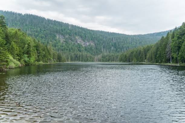 istock Great Arber Lake, Bavaria - Germany 951549186