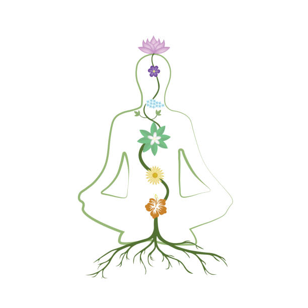 практика йоги, релаксации и медитации вектор - chakra yoga lotus meditating stock illustrations