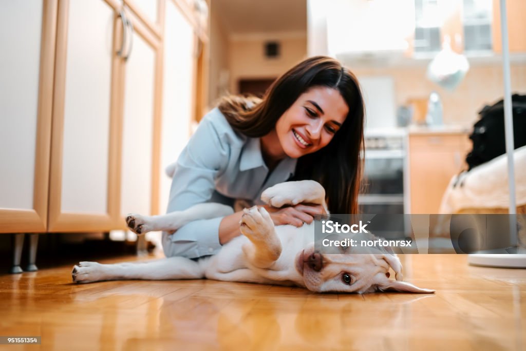 Portrait of beautiful young woman with dog playing at home. Adult Stock Photo