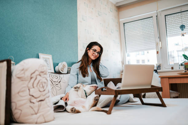 istock Cheerful woman using laptop while sitting on sofa with dog. 951551426