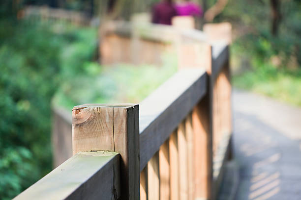 ギャレリアの森 - formal garden garden path bench flower ストックフォトと画像