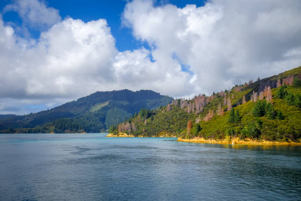 マールバラ音、ニュージーランド - queen charlotte sound ストックフォトと画像