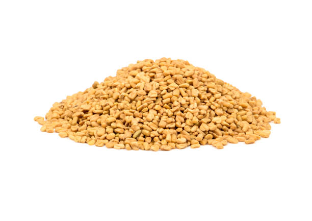 istock Pile fenugreek grains 951627476