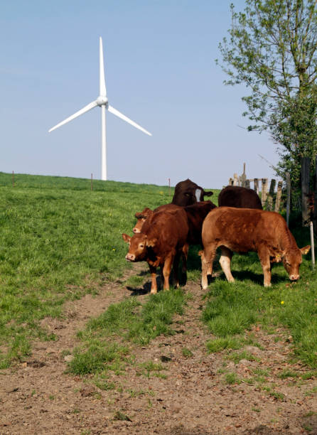 istock Sustainable agriculture and wind energy in Germany 951627692