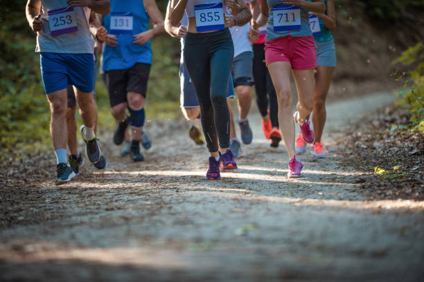 istock Group of unrecognizable marathon runners racing in the forest. 951628370