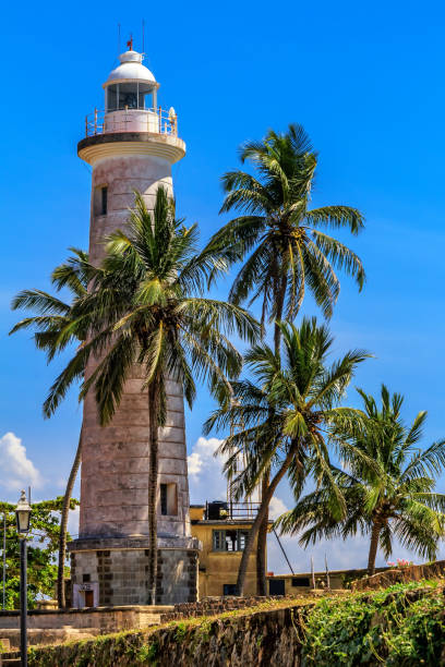 istock old sea lighthouse  in a rainforest against a blue sky with clouds on a sunny day 951631778