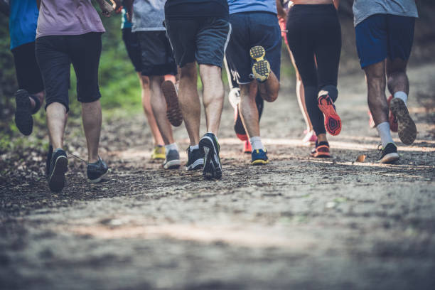 Rear view of unrecognizable athletes running a marathon in nature. Back view of group of unrecognizable runners racing in the forest. Copy space. distance running stock pictures, royalty-free photos & images