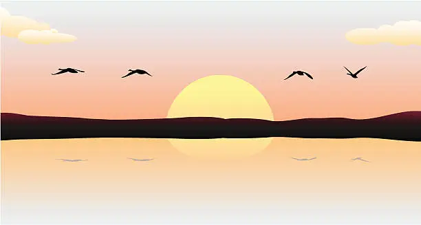Vector illustration of Sunset with swans (vector)