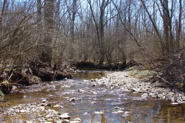 istock Middle of Creek 951640138