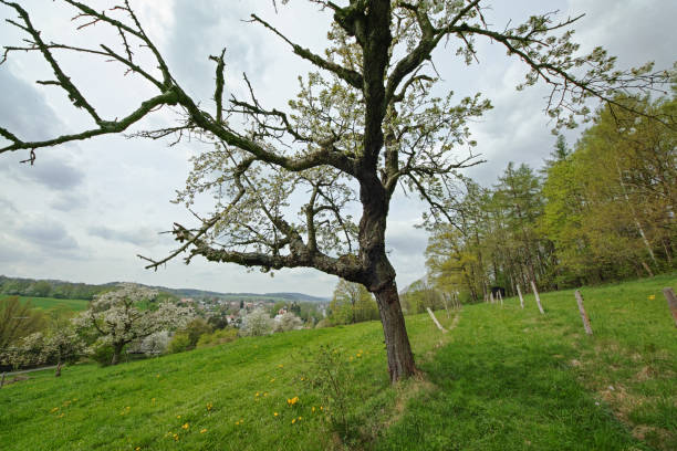 view to Neusalza Spremberg